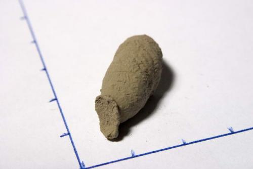 Réf. 815 : Sceliphron curvatum