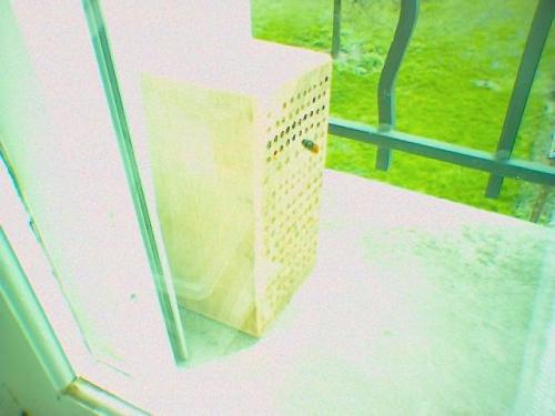 Hotel insectes
