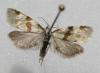 10021 – Photo : Mael Garrin – France (56)