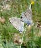 10418 – Photo : Arnaud Jean-Pierre – France (09)