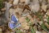 10158 – Photo : Jean Delacre – France (26)