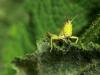 10081 – Photo : Daniel Pollen – Suisse