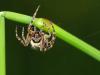 10055 – Photo : Daniel Pollen – Suisse