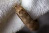 100308 – Photo : Michel Brisset – France (94)