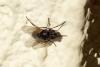 100904 – Photo : Nicolas Alric – France (12)