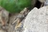 100650 – Photo : Nicolas Alric – France (12)