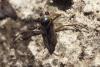 100514 – Photo : Nicolas Alric – France (12)