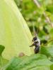100031 – Photo : Adrien Chorein – France (18)