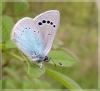 100972 – Photo : Arnaud Jean-Pierre – France (09)