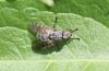 100913 – Photo : alain Roujas – France (31)
