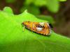 100559 – Photo : Sylvain Fadda – France (83)