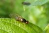 100740 – Photo : Patrick Le Mao – France (22)