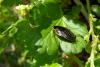 100588 – Photo : Éric Maurice – France (88)