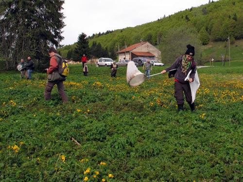 Jura 2013