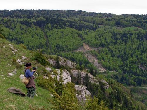 Jura 2013
