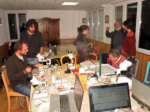 Jura 2013