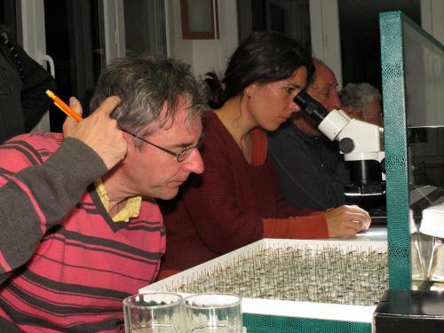 Jura 2013