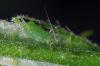 101124 – Photo : Christophe Quintin – France (21)