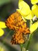 101231 – Photo : Prisca – France (05)