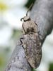 101230 – Photo : Prisca – France (05)