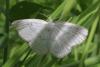 101001 – Photo : Michel Ehrhardt – France (68)