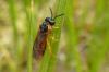 101000 – Photo : Patrick Le Mao – France (22)