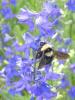 101029 – Photo : Christa Gihr – France (04)