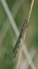 102904 – Photo : Didier Houbrechts – Belgique