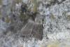 102307 – Photo : Denis Vandromme – France (36)