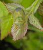 102711 – Photo : Maria Justamond – France (56)