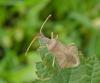 102275 – Photo : Maria Justamond – France (56)
