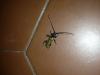 102101 – Photo : Ben33jamin – France (33)