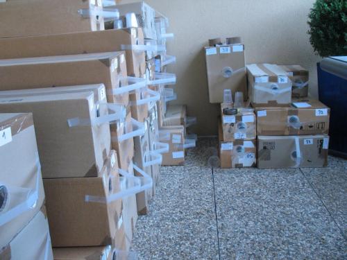 Carton xylophages