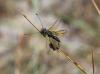103898 – Photo : Duborget Robin – France (20)