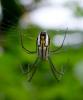 103906 – Photo : Vincent VALLI – Guadeloupe