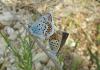 103025 – Photo : Jc.grandmaire – France (83)