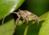 103278 – Photo : Gerard Tayeb – France (13)