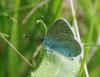 103321 – Photo : Patrick Decreus – France (93)