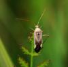 103951 – Photo : Patrick Decreus – France (93)