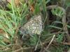 103373 – Photo : Jc.grandmaire – France (83)
