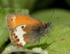 103221 – Photo : Edessa – Italie