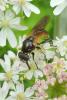 103577 – Photo : Patrick Le Mao – France (22)