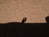 103307 – Photo : Nicolas Gautier – Espagne