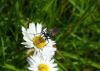 103769 – Photo : Brick – France (14)