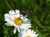103770 – Photo : Brick – France (14)