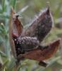 104906 – Photo : Maria Justamond – Royaume-Uni