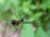 104041 – Photo : Vincent VALLI – Guadeloupe