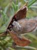 104907 – Photo : Maria Justamond – Royaume-Uni