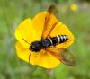 104071 – Photo : Arnaud Jean-Pierre – France (11)