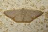 104423 – Photo : Fabricius – France (13)